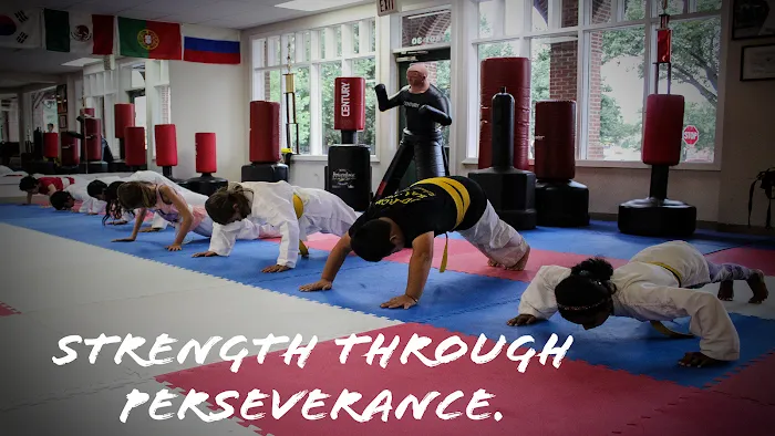 Justice Karate American Style Picture 10