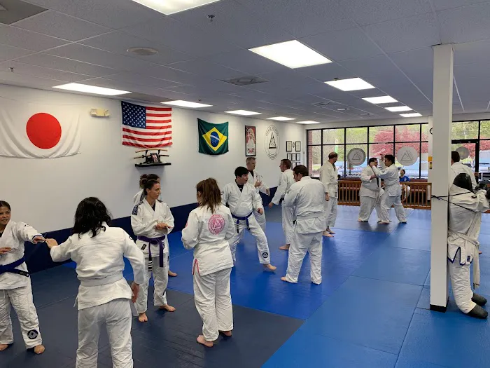 Bushin Martial Arts | Gracie Jiu-Jitsu Richmond Picture 2