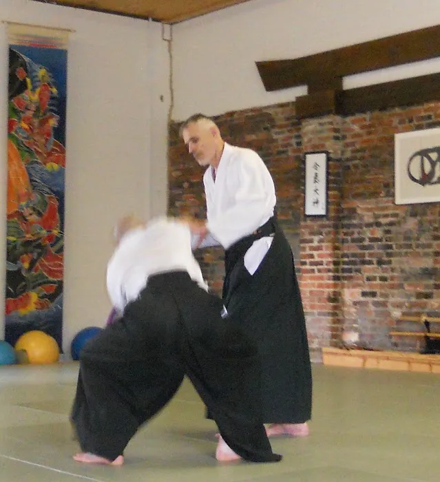 The Fan Dojo Picture 6