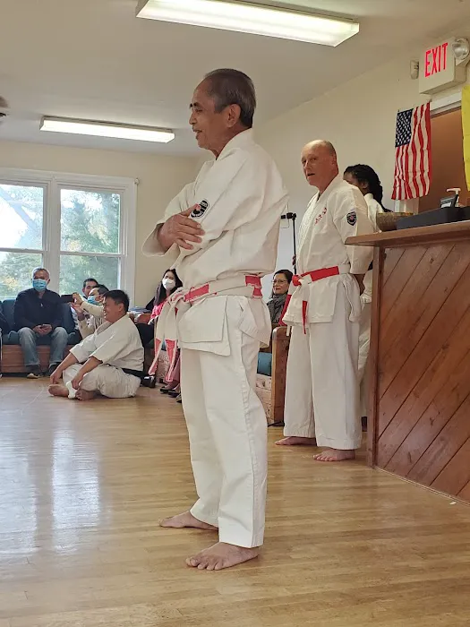 Silkisondan Karate of Virginia Picture 1