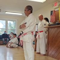 Silkisondan Karate of Virginia ico