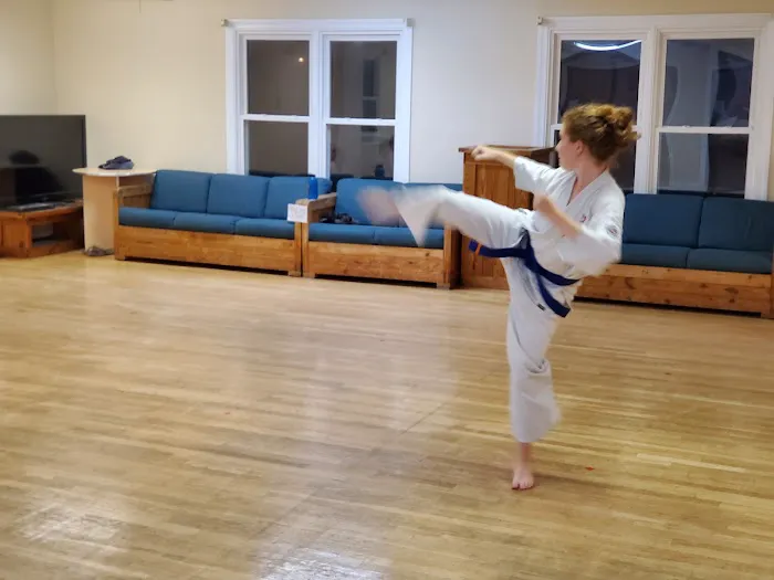 Silkisondan Karate of Virginia Picture 6