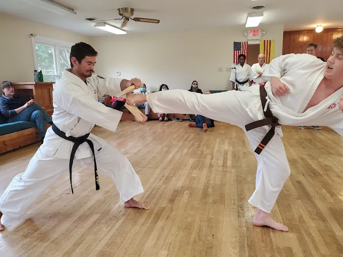 Silkisondan Karate of Virginia Picture 4