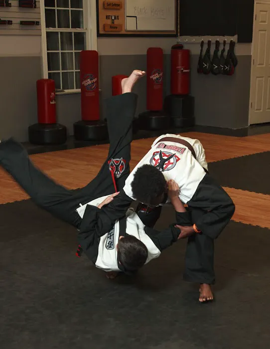 Warriors Way Martial Arts Institute Picture 5