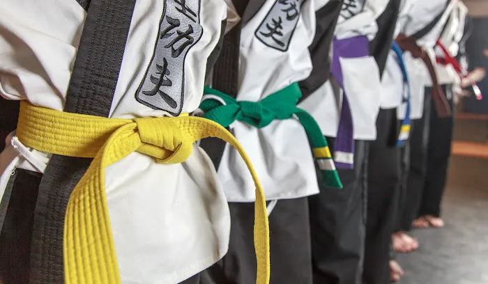 Warriors Way Martial Arts Institute Picture 4