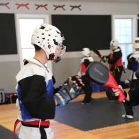 Warriors Way Martial Arts Institute ico