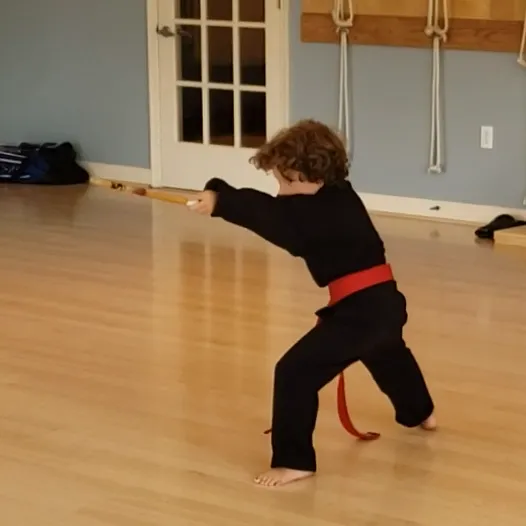 Gibson's Martial Arts Inc Picture 10