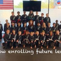 Warriors Way Martial Arts Institute ico