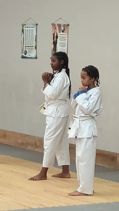 Martial Arts World Henrico Picture 2