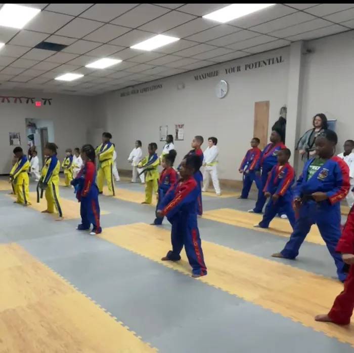 Martial Arts World Henrico Picture 4