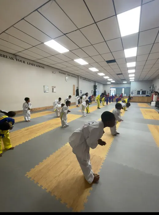 Martial Arts World Henrico Picture 9
