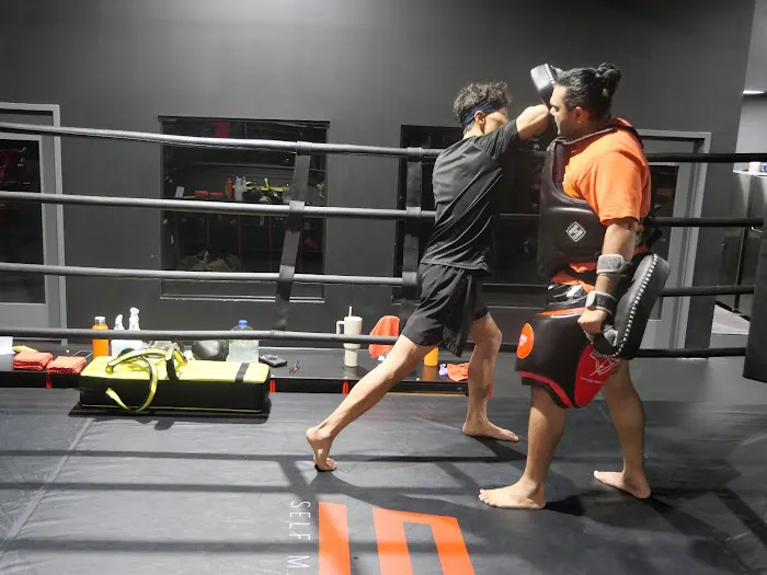 S12 MuayThai MMA Picture 8