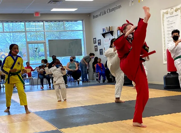 Martial Arts World Clover Hill Picture 7