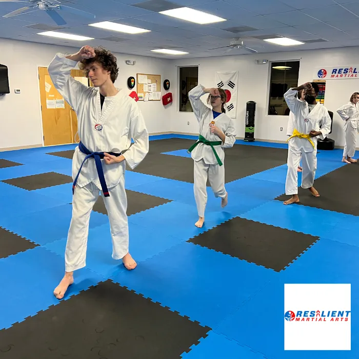 Resilient Martial Arts Picture 5