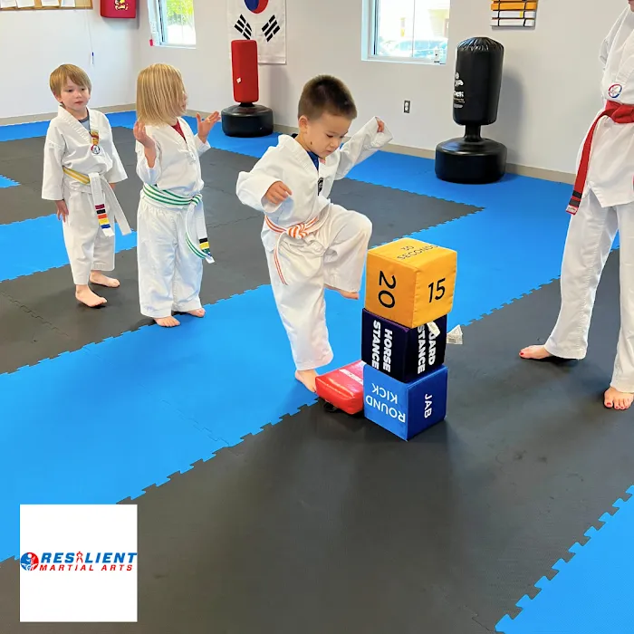 Resilient Martial Arts Picture 7