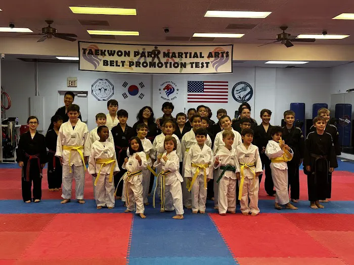 Taekwon Park Martial Arts & After School Picture 7