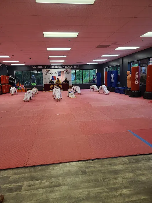 Dynamic Taekwondo & After School of Chesterfield Picture 1