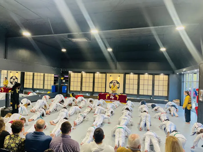 Dynamic Taekwondo & After School of Chesterfield Picture 3