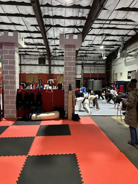 Dragon Fire Martial Arts, LLC Picture 2