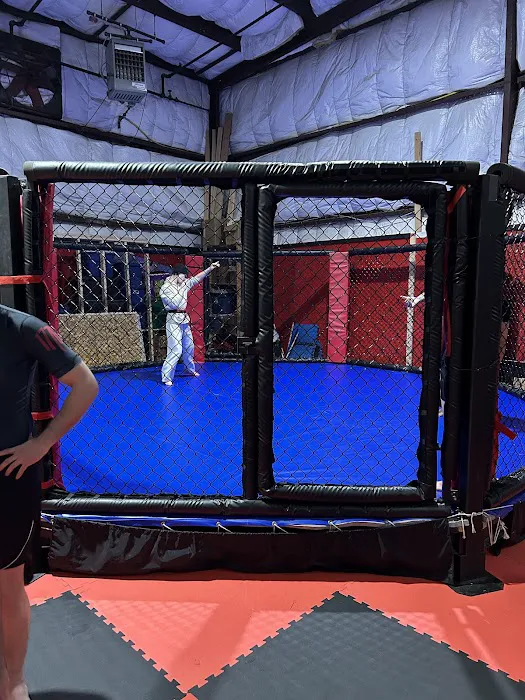 Dragon Fire Martial Arts, LLC Picture 3