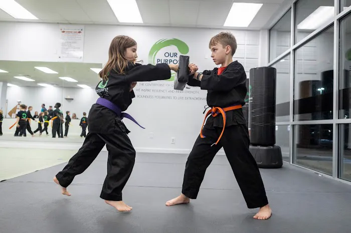 Centerpoint Martial Arts Picture 6