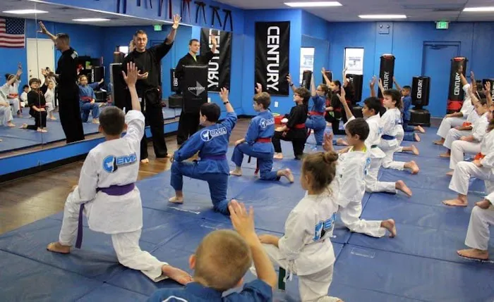 Blast Martial Arts Picture 4