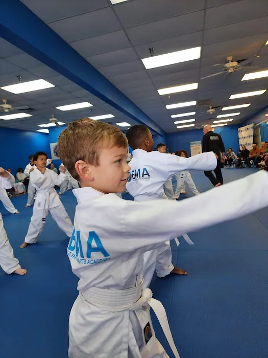 Blast Martial Arts Picture 3