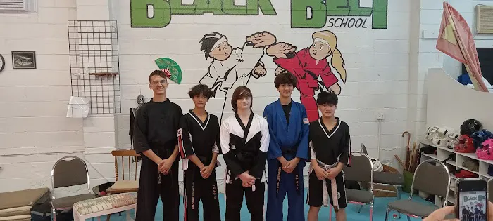 Virginia Tae Kwon Do Institute LLC Picture 1