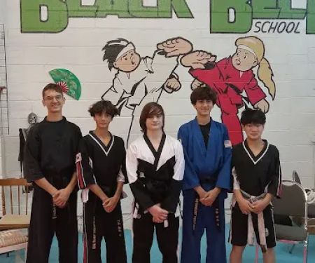 Virginia Tae Kwon Do Institute LLC