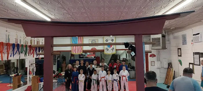 Virginia Tae Kwon Do Institute LLC Picture 2