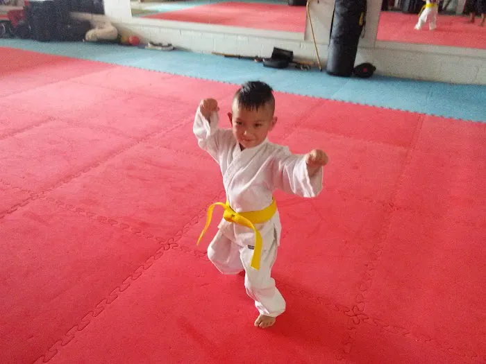 Virginia Tae Kwon Do Institute LLC Picture 3