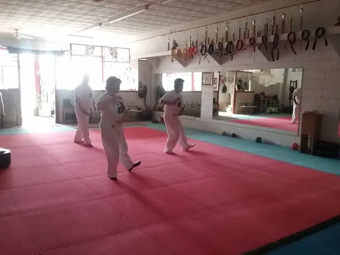 Virginia Tae Kwon Do Institute LLC Picture 4