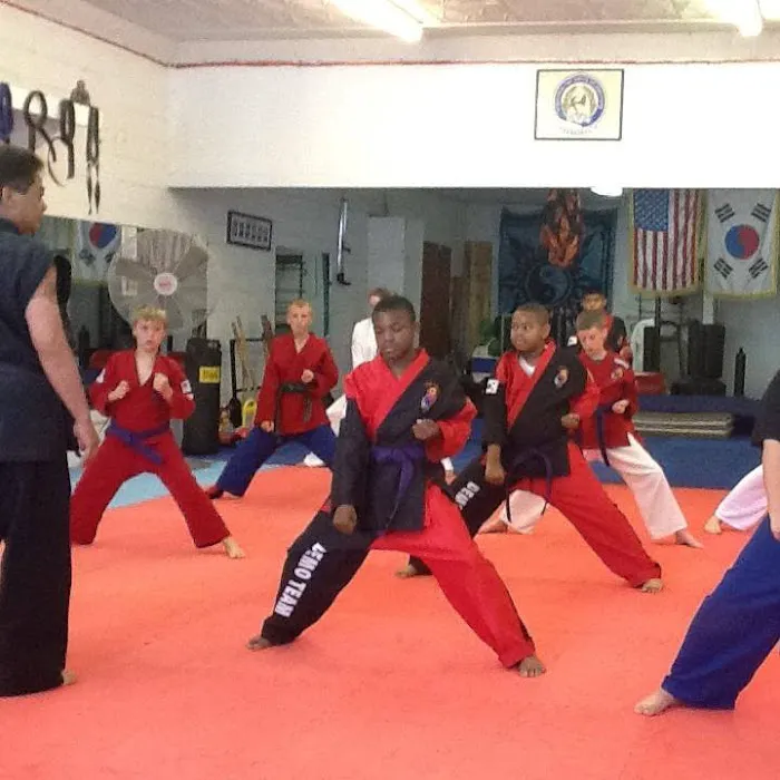 Virginia Tae Kwon Do Institute LLC Picture 6