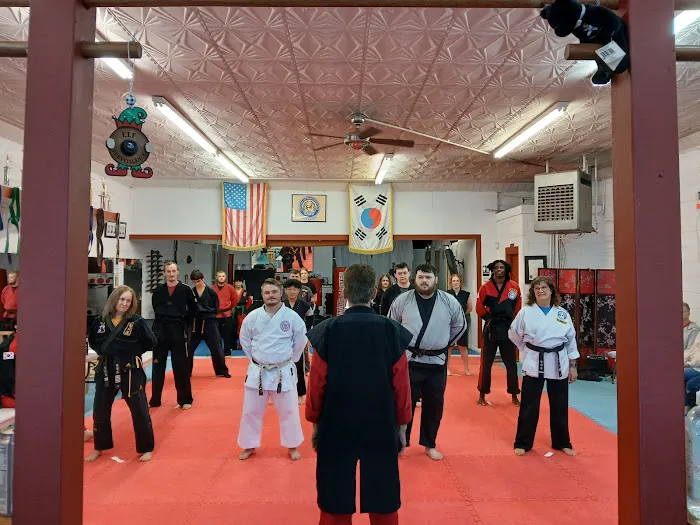 Virginia Tae Kwon Do Institute LLC Picture 8