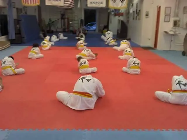 Virginia Tae Kwon Do Institute LLC Picture 10