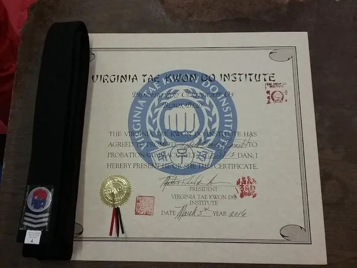 Virginia Tae Kwon Do Institute LLC Picture 9