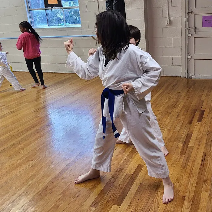 Planet Elite Martial Arts Picture 3