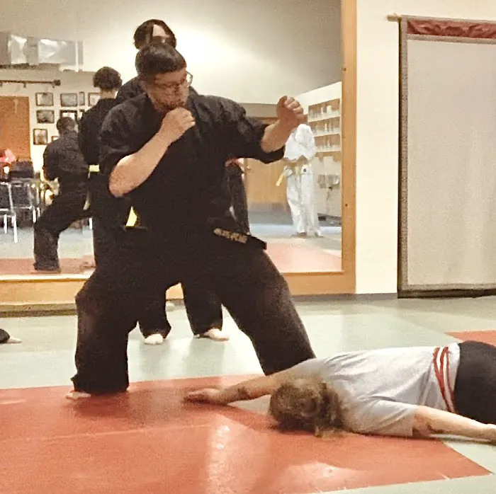 Discovery Martial Arts Picture 10
