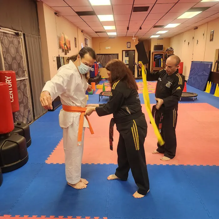 FIRENIX MARTIAL ARTS ACADEMY LLC Picture 6