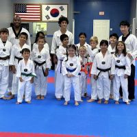World Champion Tae Kwon Do ico