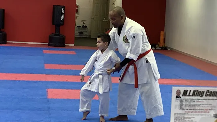 Brian Hobson Karate Studio Picture 10