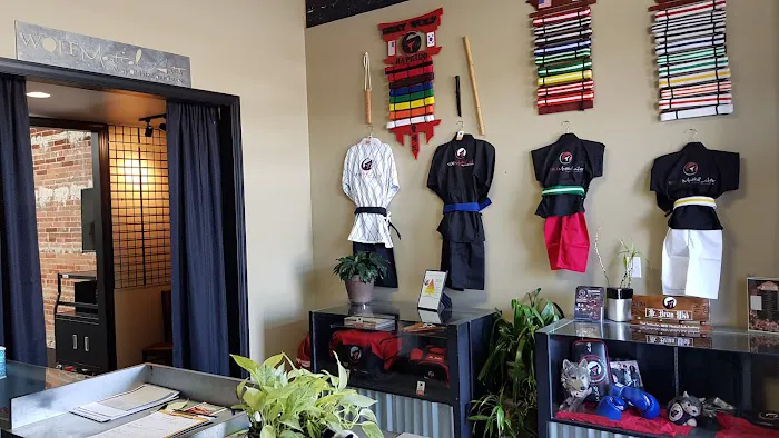 WOLF Martial Arts Academy Picture 2