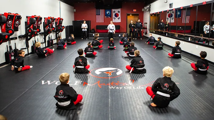WOLF Martial Arts Academy Picture 8