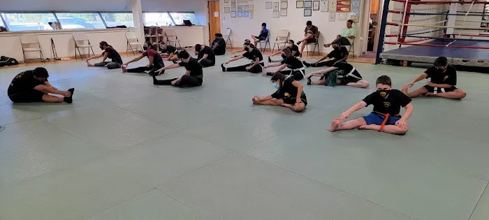 East Wind Academy of Martial Arts Picture 3