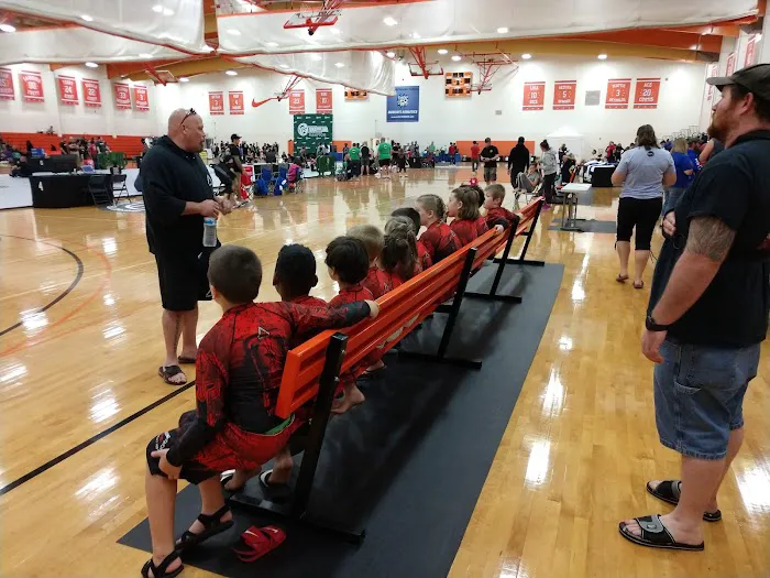 Modern American Mixed Martial Arts Picture 3