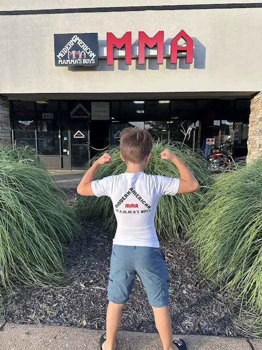 Modern American Mixed Martial Arts Picture 1