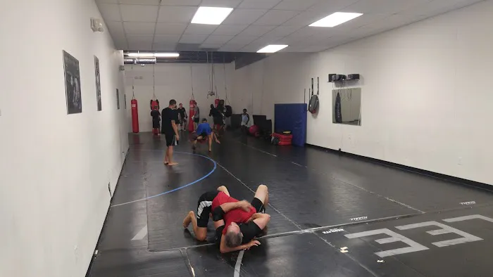 Modern American Mixed Martial Arts Picture 4