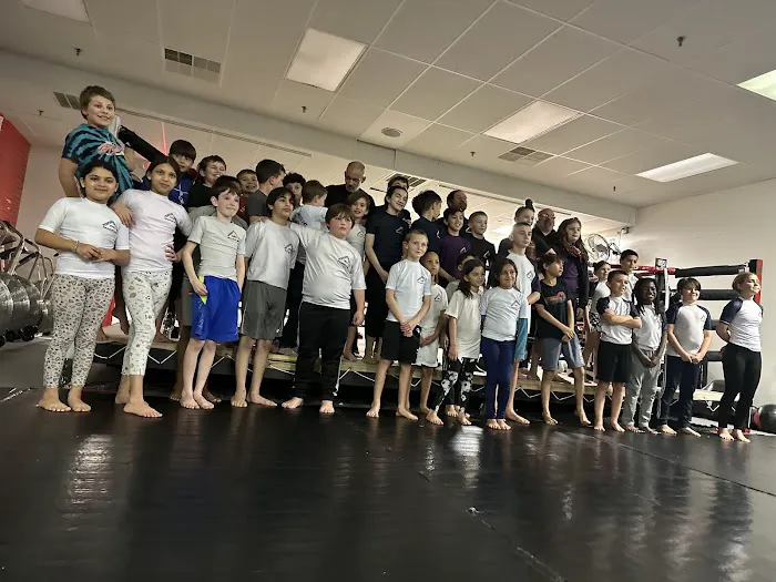 Modern American Mixed Martial Arts Picture 8