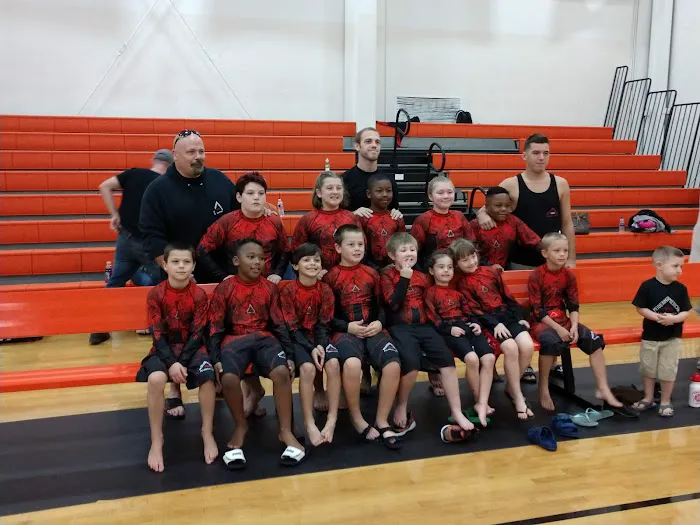 Modern American Mixed Martial Arts Picture 9