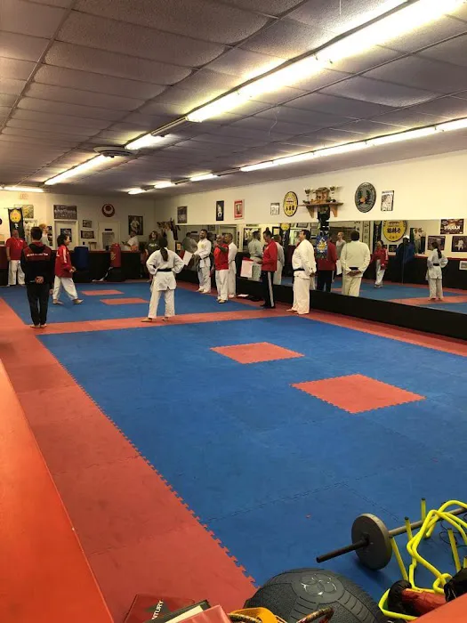 Axsom Martial Arts Picture 2